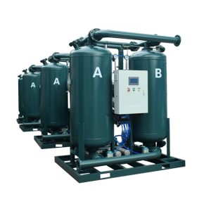 DM300MR Zero-air-loss compressed-heat dryer